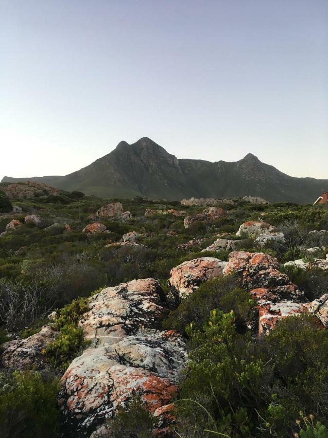 Rondawel With Sea View Daire Kleinmond Dış mekan fotoğraf